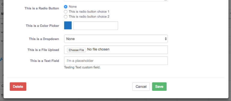 How to Use the Custom Fields Extension - UpStream Documentation