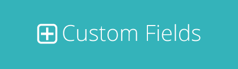 The Custom Fields Extension Is Here